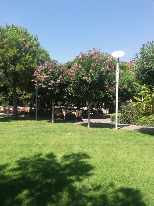 Gartenanlage Gloria Serenity Resort