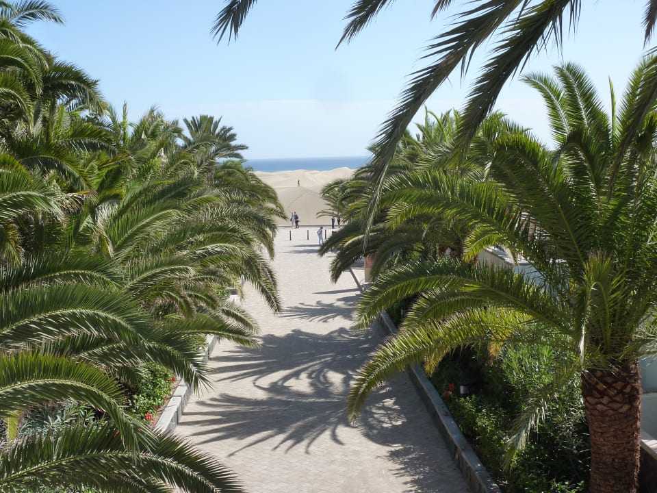Ausblick Hotel Riu Palace Maspalomas Adults Only