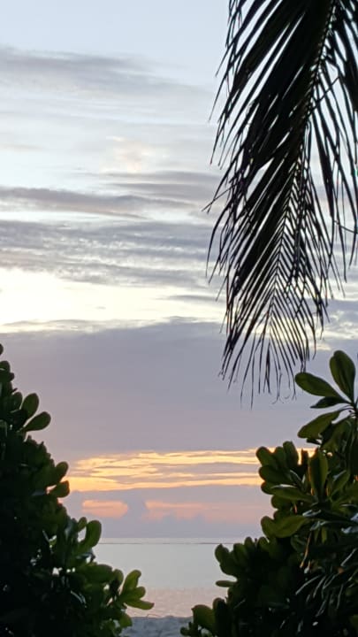 Ausblick Summer Island Maldives