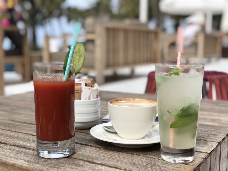 Gastro Acanthus Cennet Barut Collection