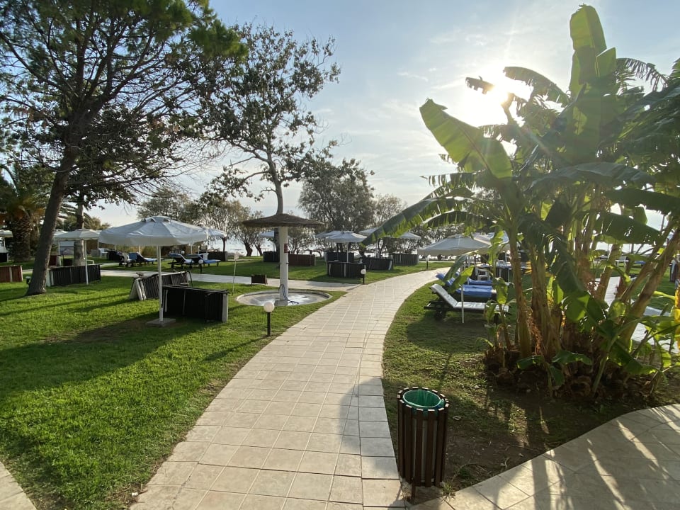 Gartenanlage Hotel Calypso Beach