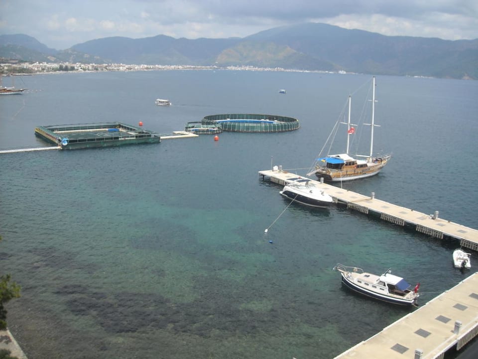 Hotel Mares Dolphin Park & Spa Labranda Mares Marmaris