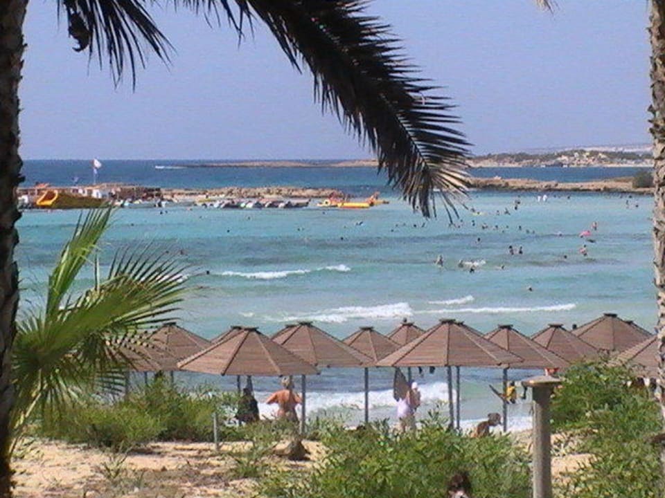 Ausblick vom Garten auf den Strand Hotel Nissi Beach Resort