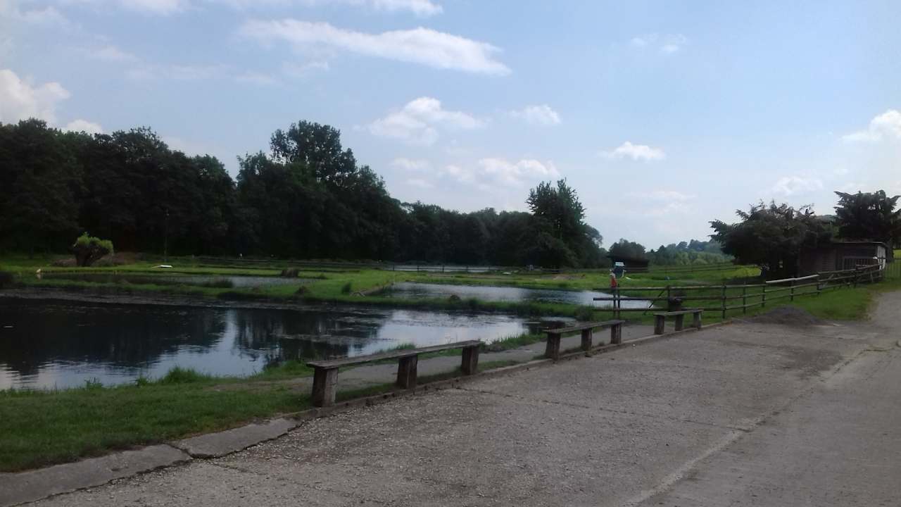 Ausblick Pension Obermühle Beine