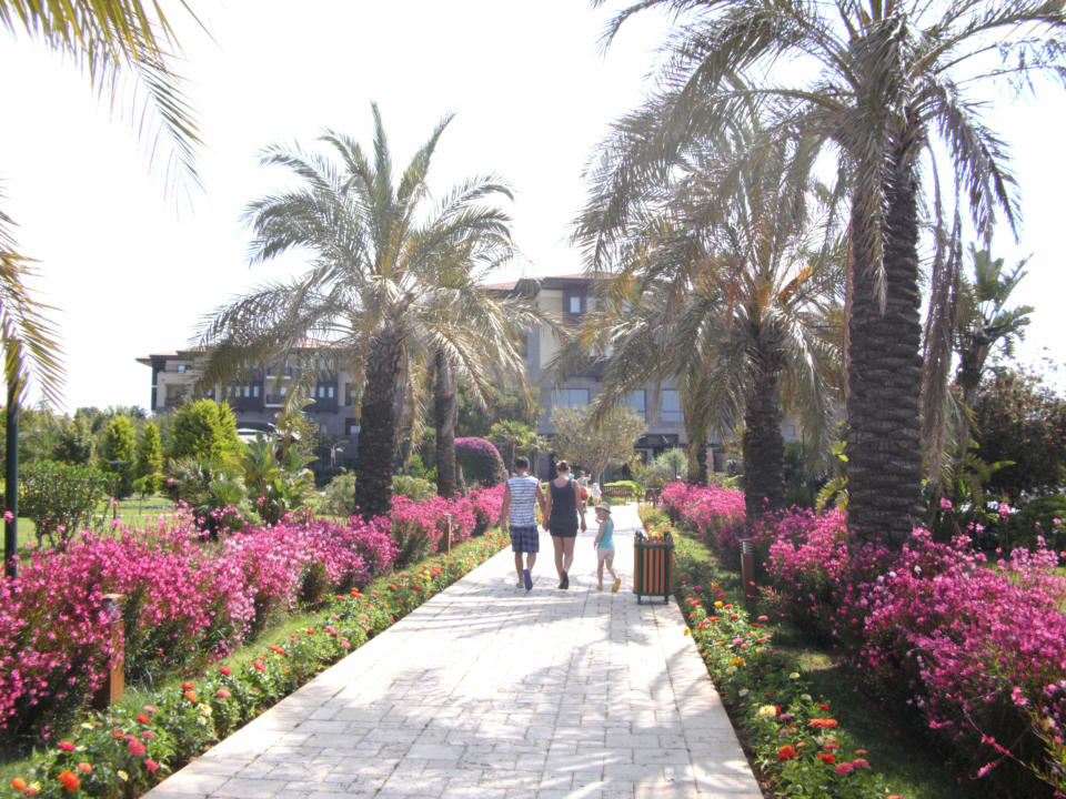 Hotel Hinterfront Calimera Serra Palace