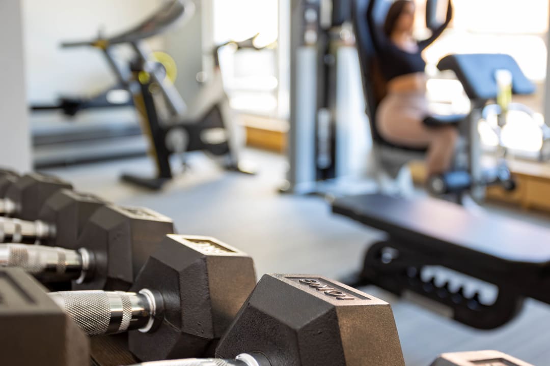 Sport & Freizeit Hotel Sofitel Strasbourg Grande Ile