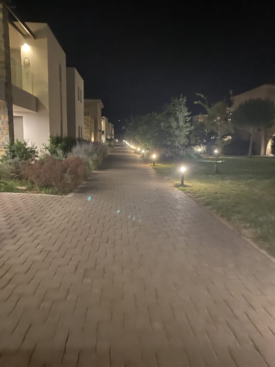 Gartenanlage Almyros Beach Resort & Spa