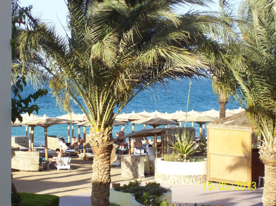 Blick aus dem Zimmer Palm Beach Resort