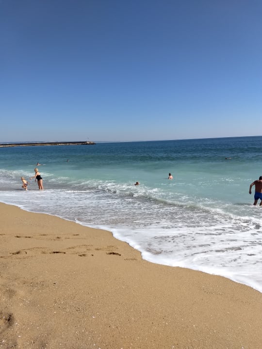 Strand Sentido Marea