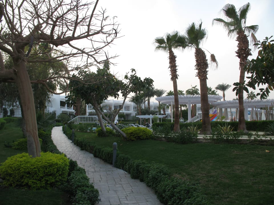 Gartenanlage Monte Carlo Sharm Resort & Spa
