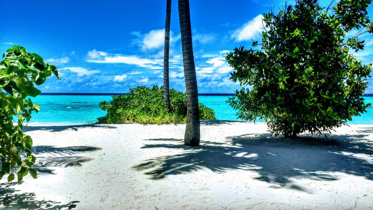 Aussicht 228 NH Collection Maldives Havodda Resort