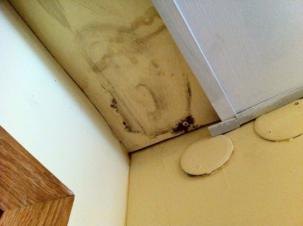 Aussicht Hotel Ambassador