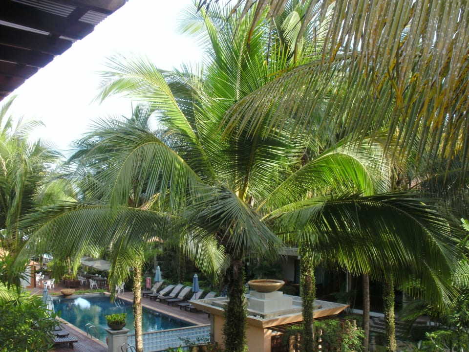 Zimmerausblick Khao Lak Bayfront Resort
