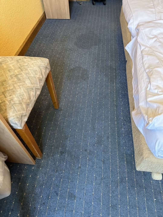 Zimmer Hotel Spreewitz am Kurfürstendamm