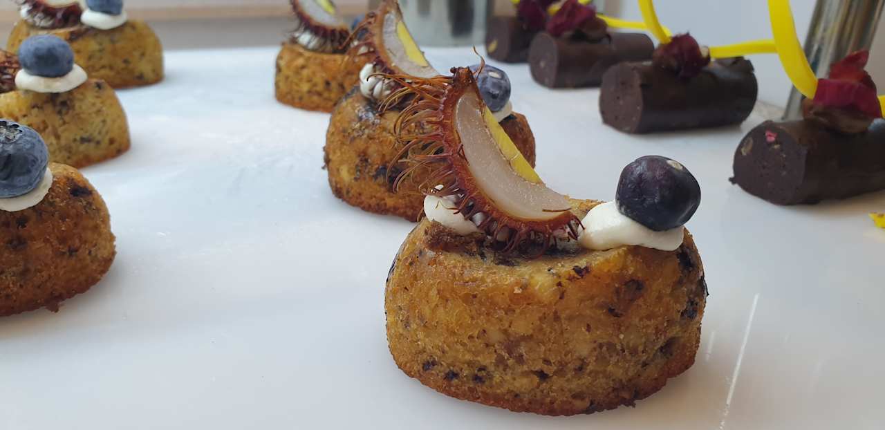 Gastro JAZ Elite Asteria