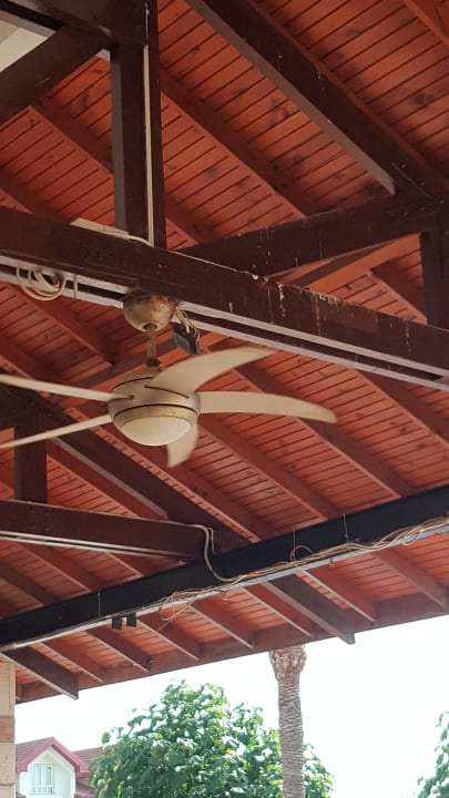 Terrasse mit viel Vogelkot stinkt sehr extrem  Salamis Bay Conti Resort Hotel & Casino