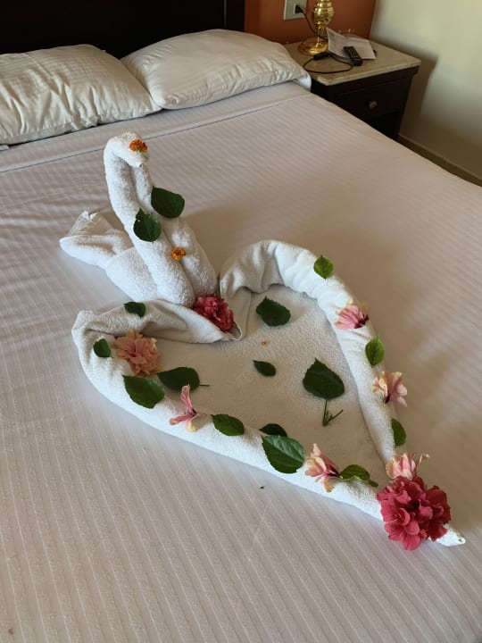 Zimmer Riviera Aqua Park Resort