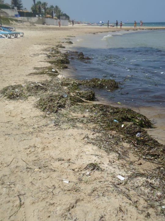 Echt nicht schön Marhaba Royal Salem