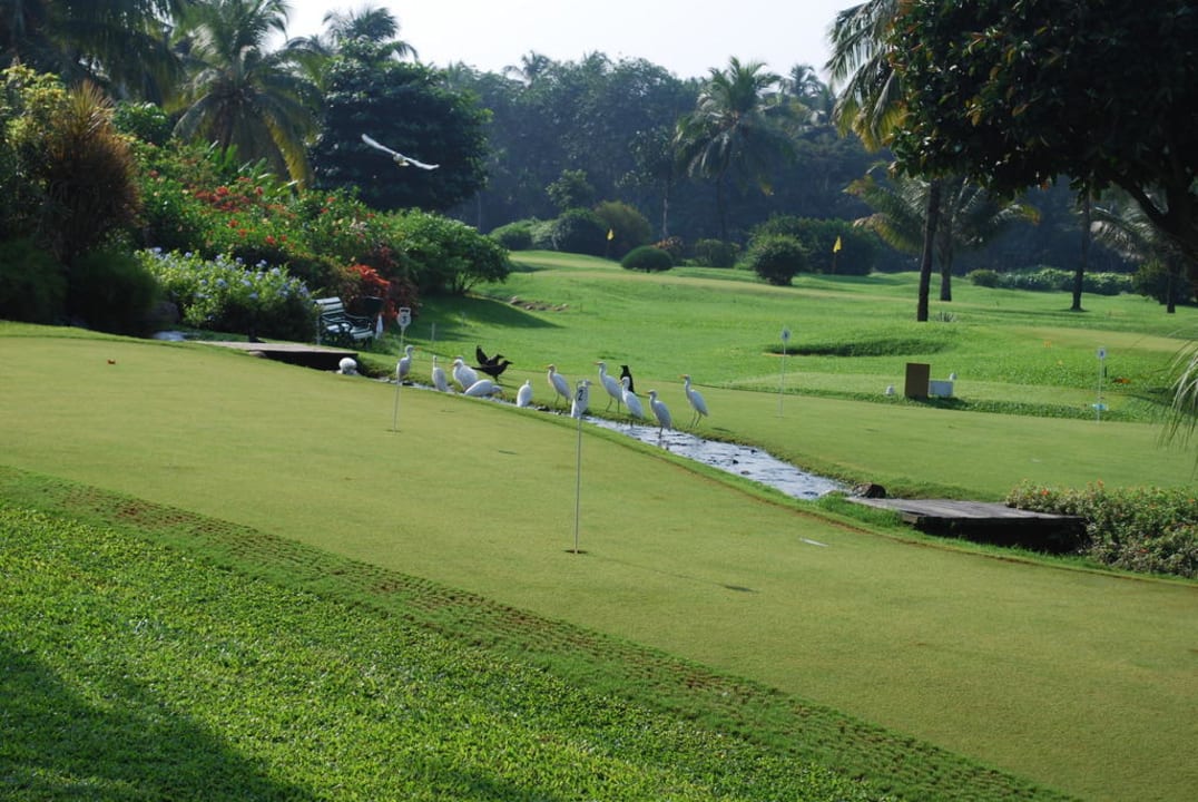 Garten mit Vögeln Hotel The Leela Goa