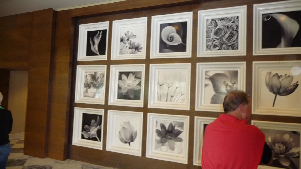 Überall tolle Bilder Hotel Delphin Imperial