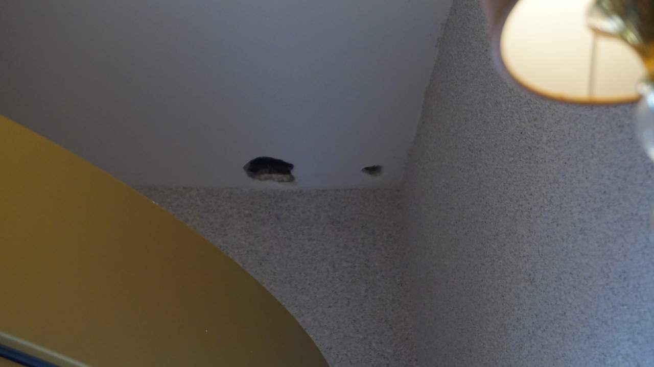 Sonstiges Granada Luxury Okurcalar