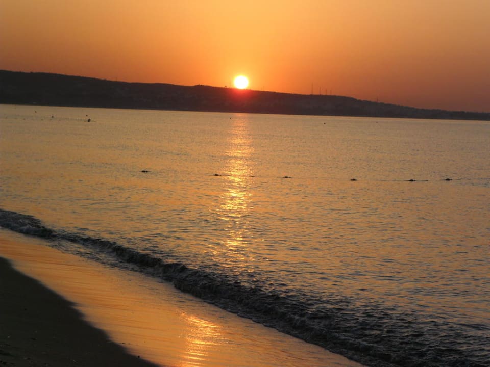 Strand Club Salammbô Hammamet