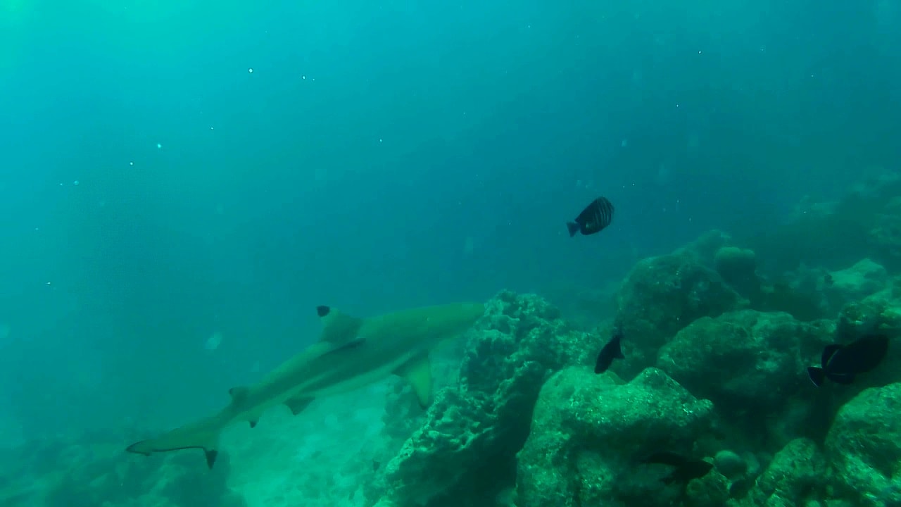 Sport & Freizeit Adaaran Select Hudhuran Fushi - Premium All Inclusive