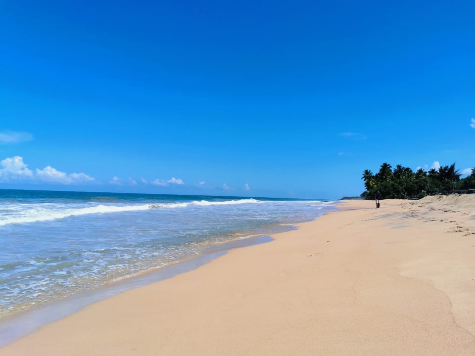 Strand Sheraton Kosgoda Turtle Beach Resort
