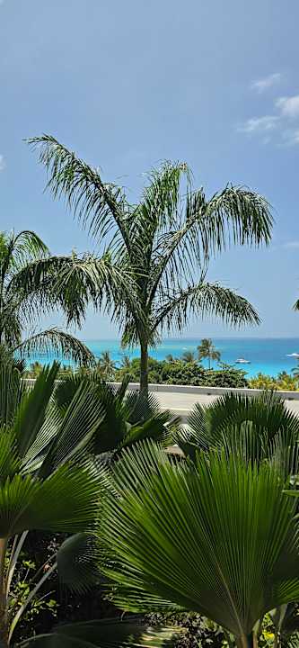 Außenansicht Hotel Riu Jambo