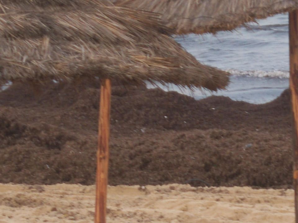 Alles Algen Medina Solaria & Thalasso