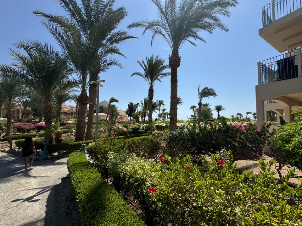 Außenansicht Mövenpick Resort & Spa El Gouna