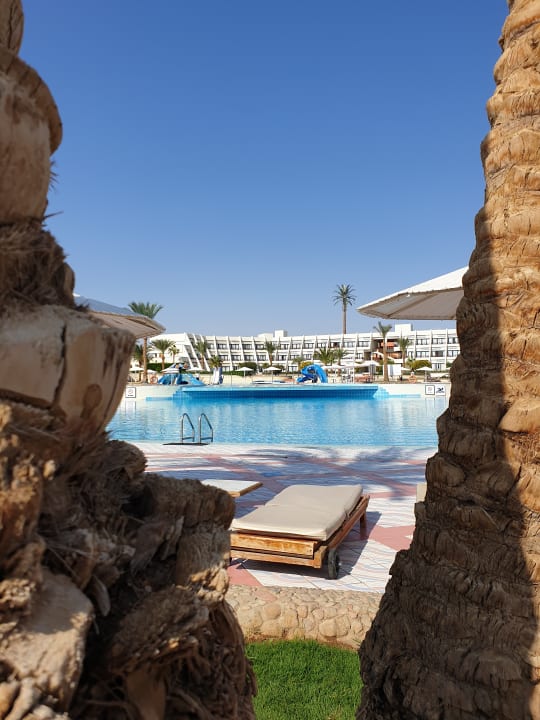 Pool Pharaoh Azur Resort