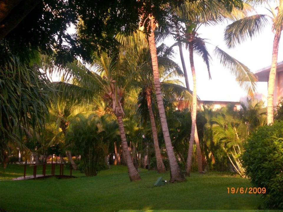 wunderschön am Morgen Catalonia Punta Cana - All Inclusive