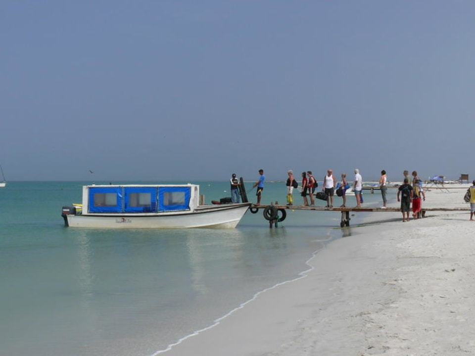 Bootstransfer Hotel Sunsol Punta Blanca