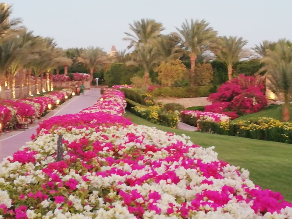 Gartenanlage Fort Arabesque Resort, Spa & Villas