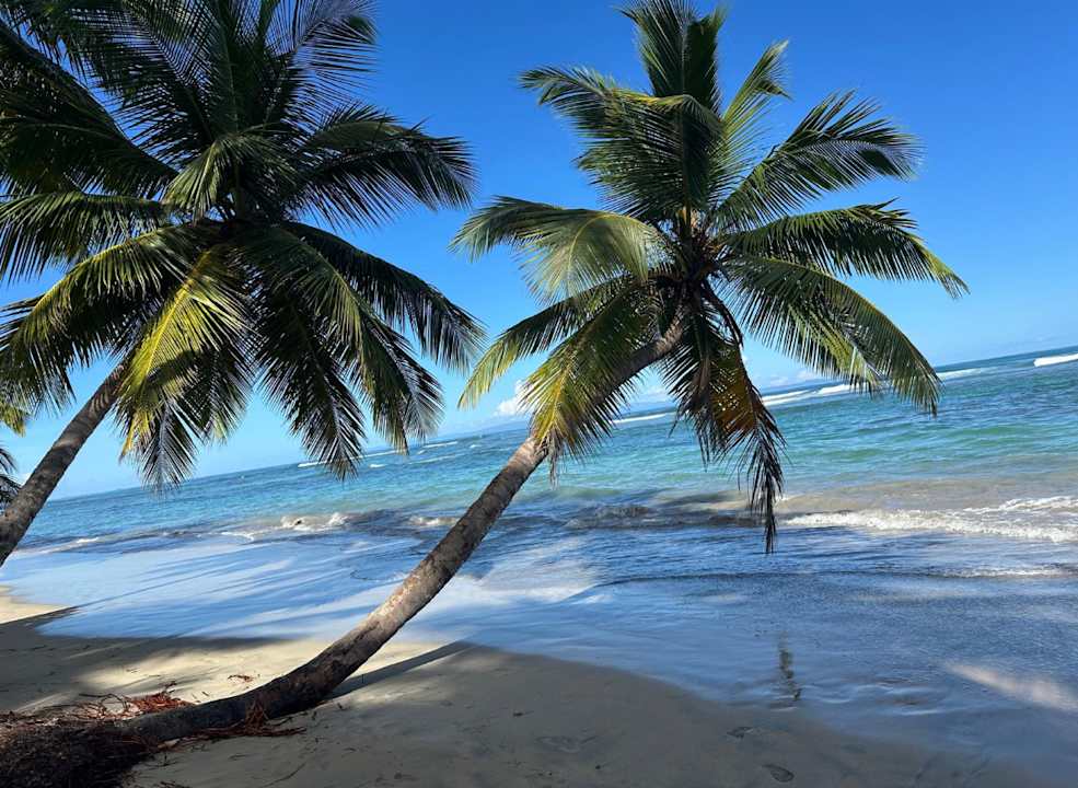 Strand Dreams Playa Esmeralda Resort & Spa - All Inclusive