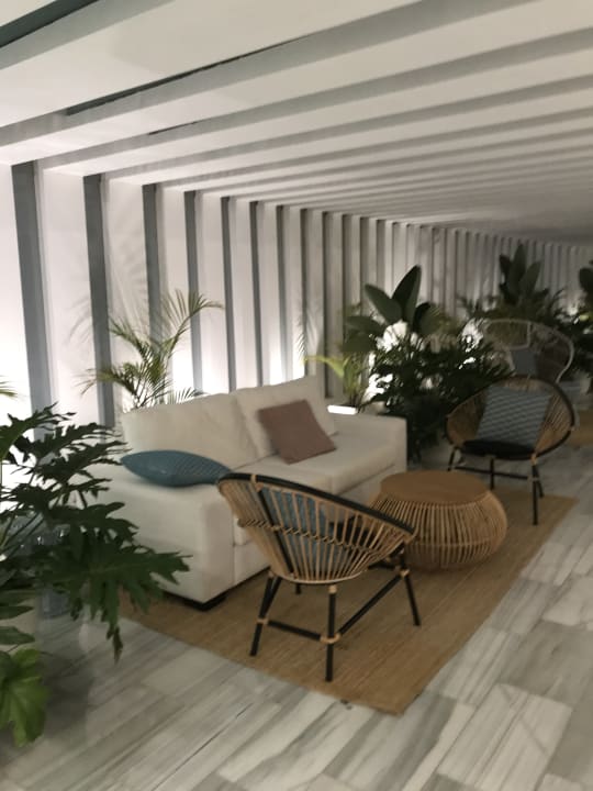 Sonstiges Canary Garden Club