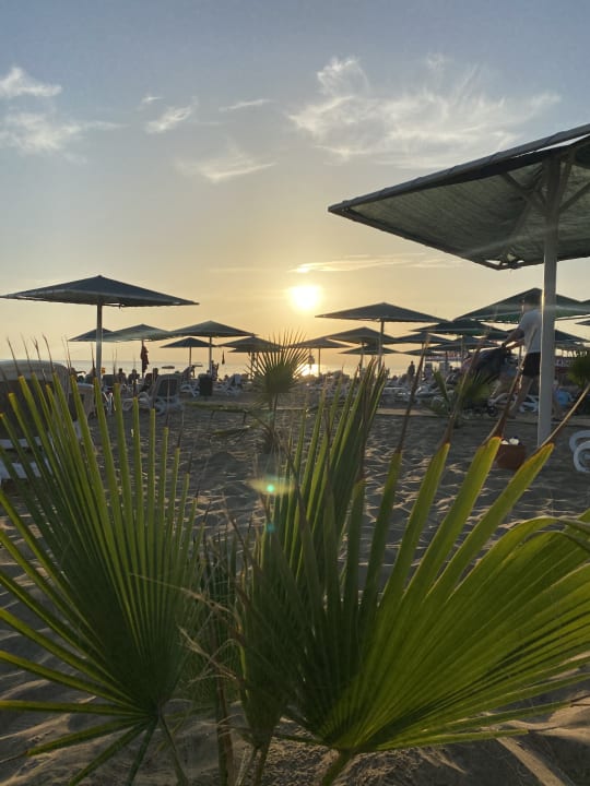 Strand Paloma Oceana