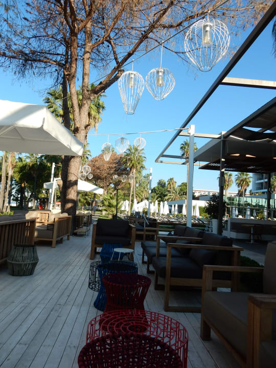 Restaurant Acanthus Cennet Barut Collection