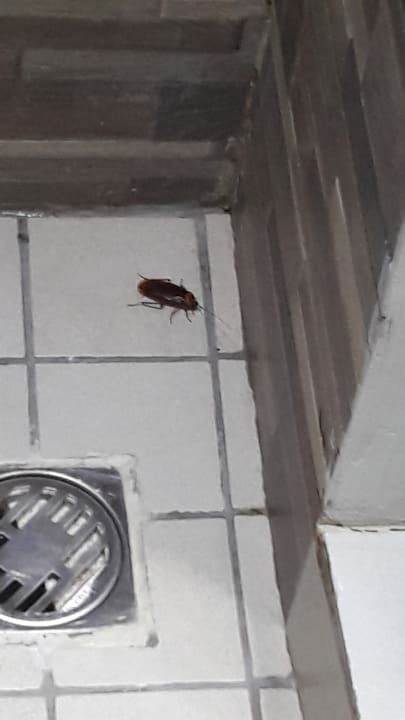 Zimmer Le Peninsula Bay Beach Resort & Spa