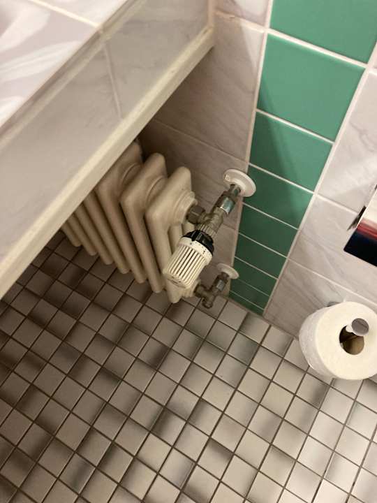 Zimmer Best Western Parkhotel Brehna - Halle