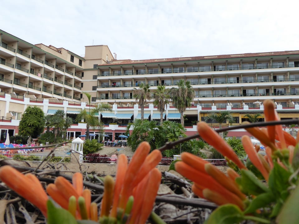 Außenansicht BLUESEA Costa Jardin Spa