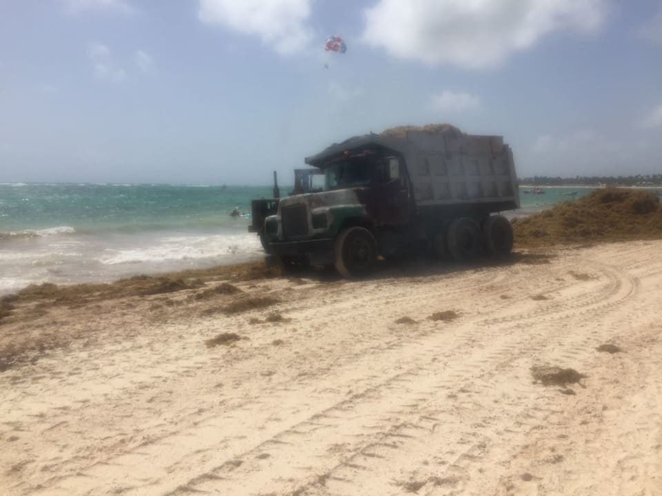 Strand Vik Hotel Arena Blanca & Cayena Beach