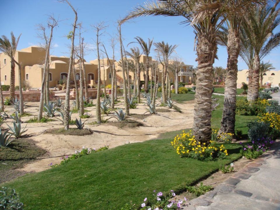Garten in der Anlage Radisson Blu Resort, El Quseir
