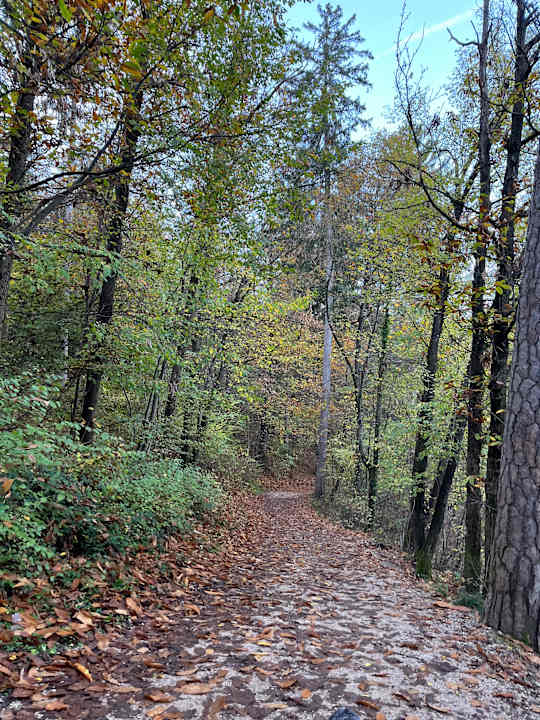 Sonstiges Gartenhotel Moser