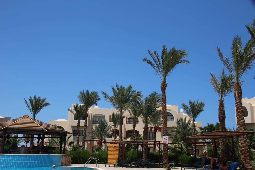 Immer blauer Himmel JAZ Neo Saraya Palms