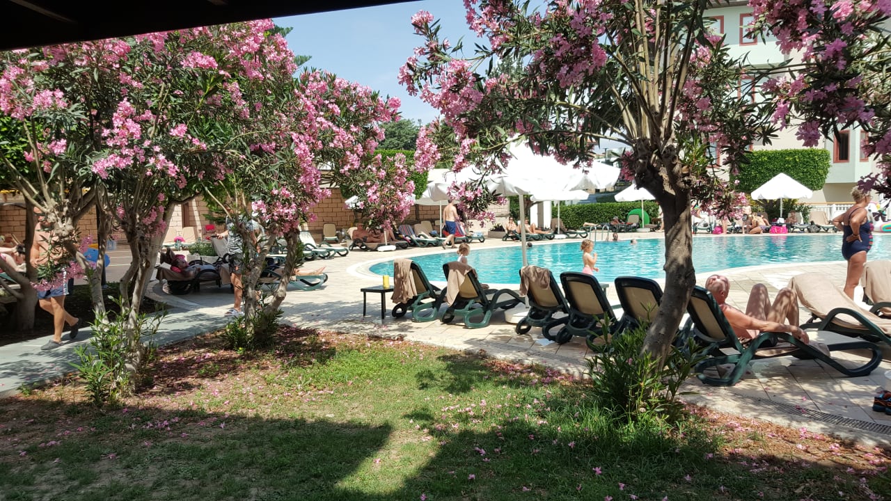 Pool Club Grand Side