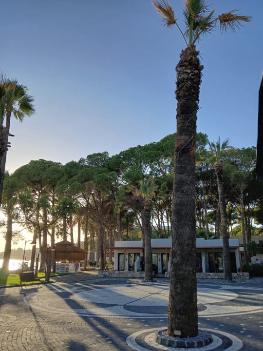 Ausblick Ömer Prime Holiday Resort