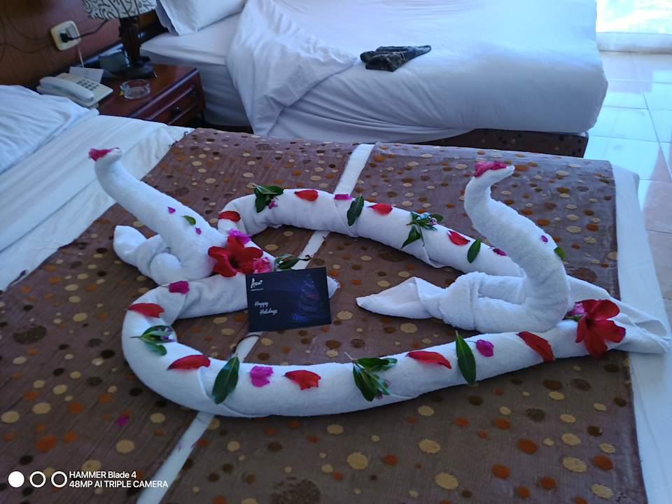 Zimmer Wadi Lahmy Azur Resort