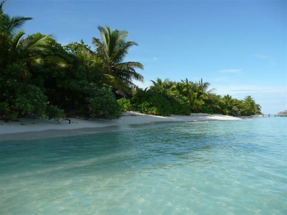 Strand Nordseite Kuredu Island Resort & Spa